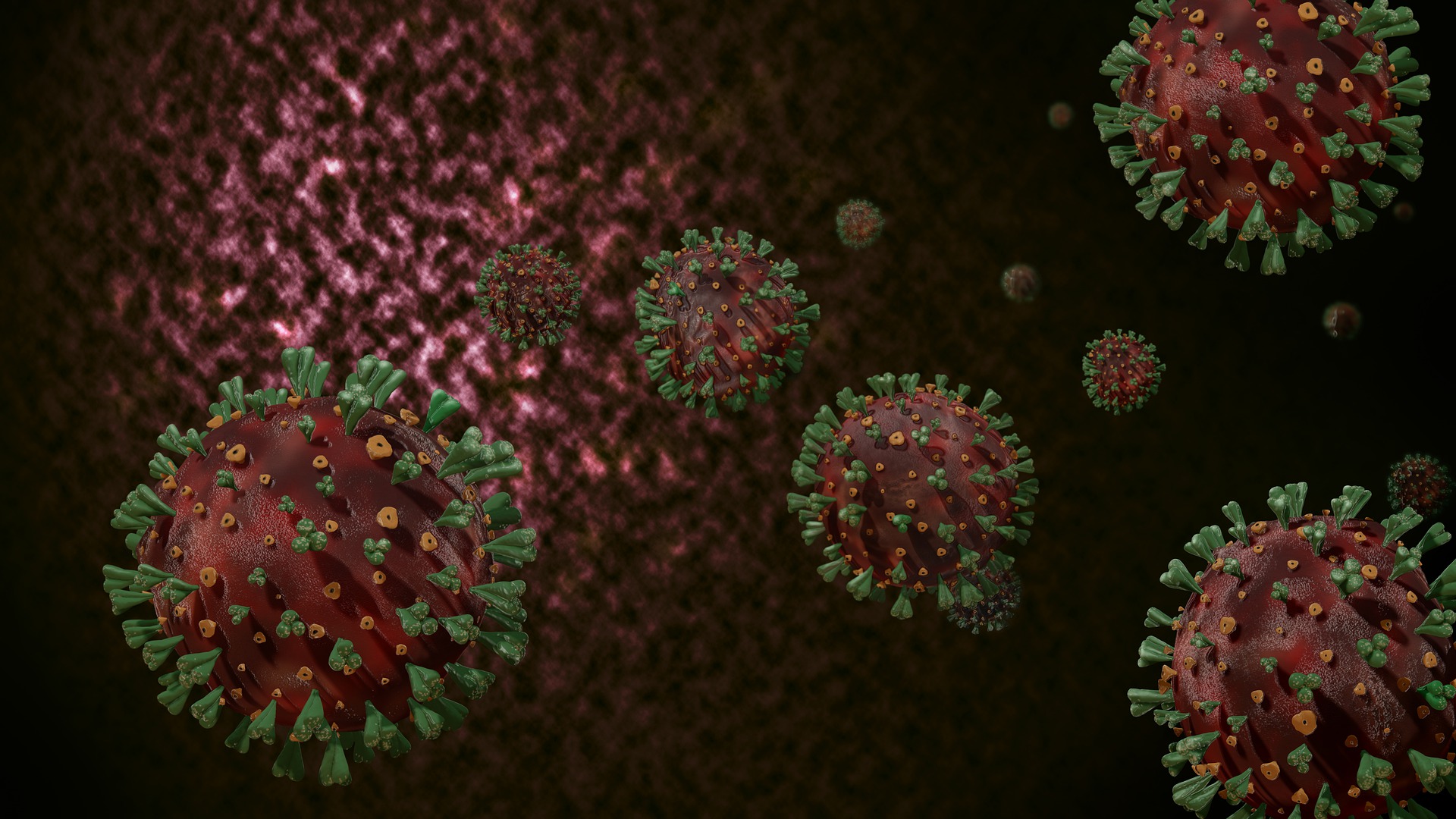 Штаммы коронавируса мире