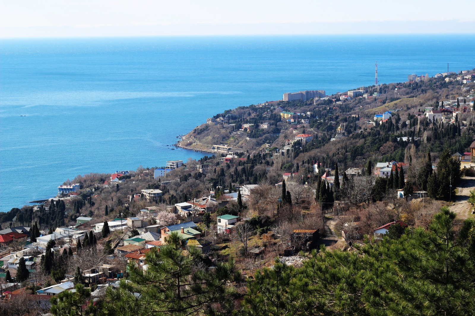 Примечания | Весенняя Ялта. Ритм цветущего города