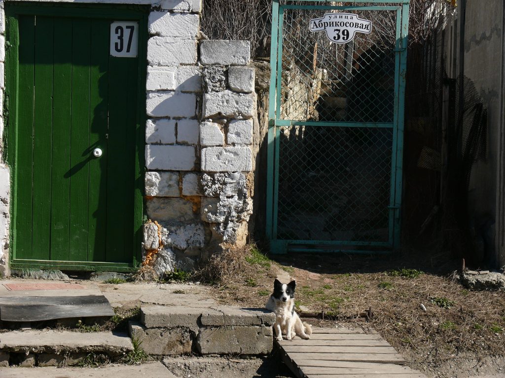 Примечания | Пройду по Абрикосовой. Одноэтажный Севастополь с песней